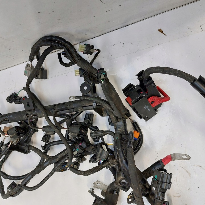 RENAULT ARKANA 1,3TCE CONDUITES DE DÉRIVATION FAISCEAU DE CÂBLES INSTALLATION ÉLECTRIQUE MOTEUR