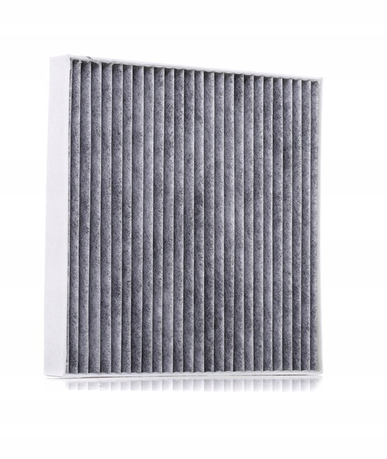RIDEX 424I0211 FILTRE VENTILATION ESPACES PASAZERSKIEJ FILTRE AVEC WEGLEM