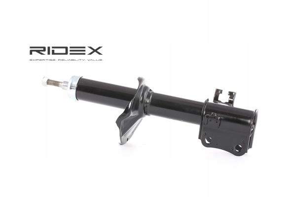RIDEX 854S1080 AMORTISSEUR GAZEUX ENTRETOISE SUSPENSIONS AVANT LEWO