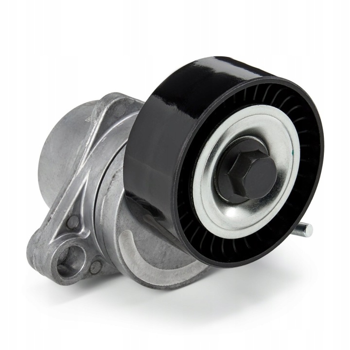 KIT COURROIE CUNÉIFORME RIDEX PLUS 542R0006P CONVIENT VERS PEUGEOT 207 (WA, WC)