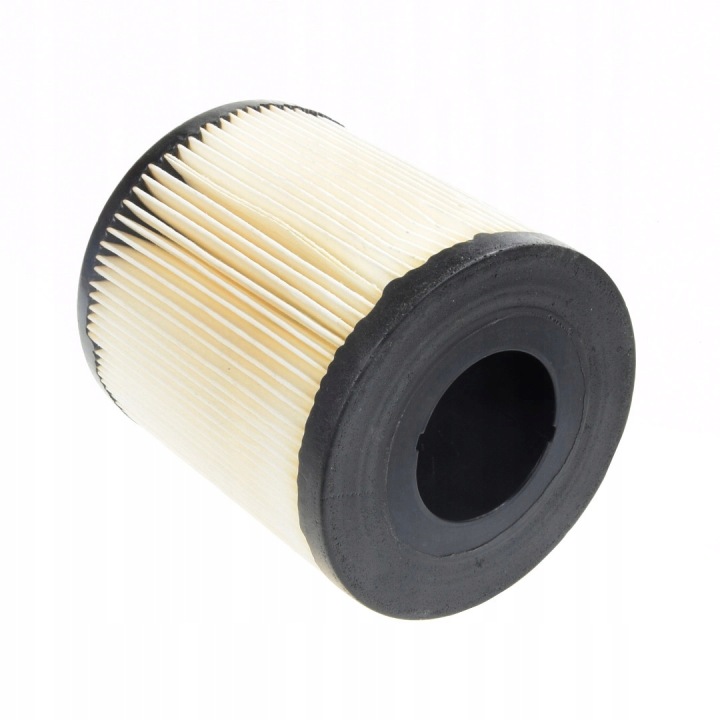 FILTRE CARBURANTS P552040 811999500 687121 SN920430