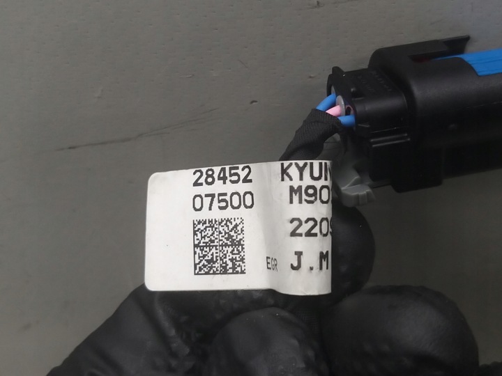 FAISCEAU DE CÂBLES INSTALLATION ÉLECTRIQUE MOTEUR EGR 1.0 T-GDI G3LE I30 III KONA RIO STONIC