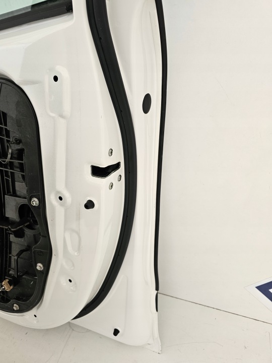 PORTES AVANT DROIT DROIT AVANT KIA NIRO I SUR ZALANIU EUROPE