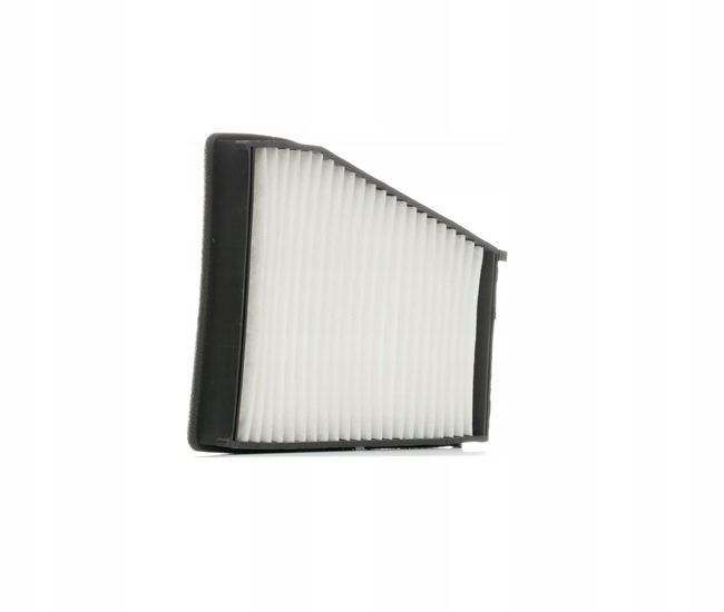 STARK SKIF-0170173 FILTRE VENTILATION ESPACES PASAZERSKIEJ FILTRE PARTICULES