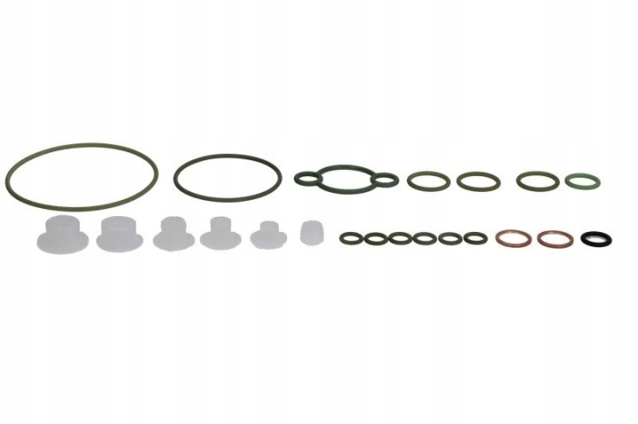 KIT JOINTS SYSTÈMES CR IVECO, MERCEDES BS F00N201973