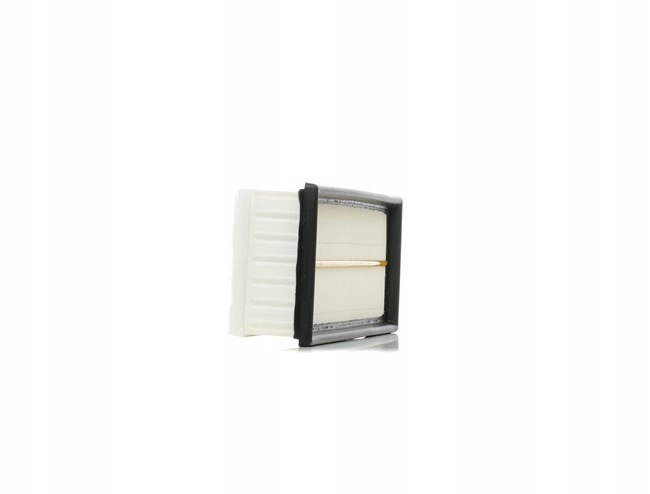 RIDEX 8A0021 FILTRE AIR VERS PEUGEOT 206 SCHRÄGHECK (2A/C) 207 (WA, WC)