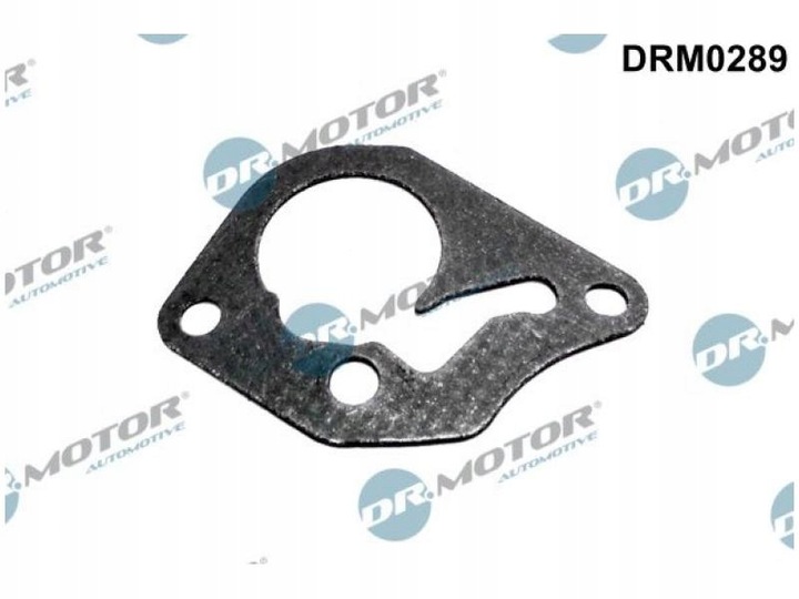 DR. MOTOR FORRO DE BOMBA RENAULT 1,9DCI 01- 