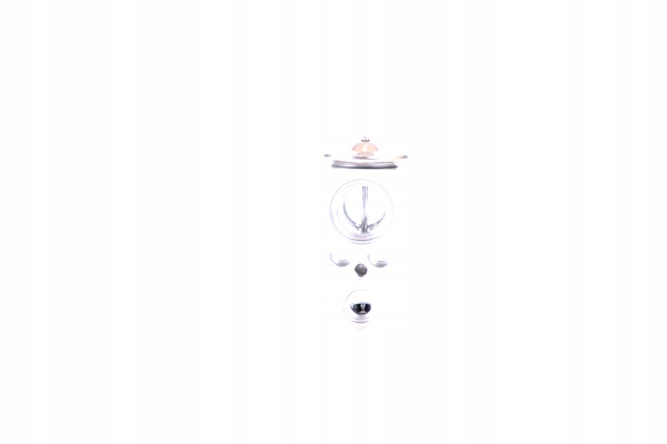 SOUPAPE EXPANSIBLE CLIMATISATION NIS 999297