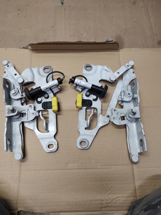 BMW 5 F10 F11 CHARNIÈRES CAPOTS GAUCHE I DROIT AVEC NABOJAMI 7249887-09