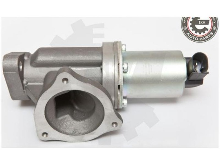 VANNE EGR SKV 14SKV054