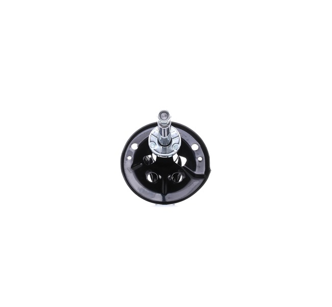 RIDEX 854S0765 AMORTISSEUR GAZEUX ENTRETOISE SUSPENSIONS AVANT LEWO
