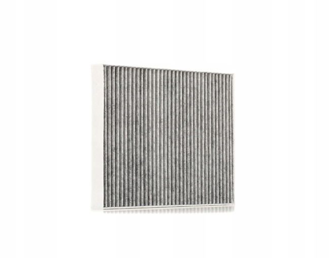 STARK SKIF-0170016 FILTRE VENTILATION ESPACES PASAZERSKIEJ FILTRE AVEC WEGLEM