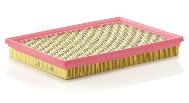 FILTRE AIR MANN-FILTER C2975