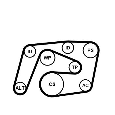 KIT COURROIE CUNÉIFORME POLYWEDGE CONTINENTAL CTAM 6PK2260K1 529013810