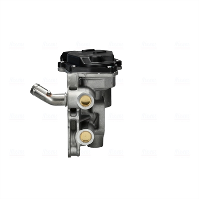 VANNE EGR 98524