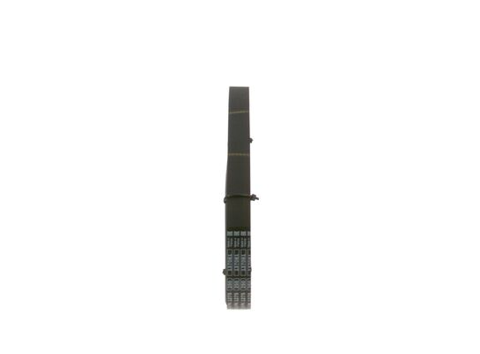BOSCH COURROIE WIELOROWK. 6PK1015 6PK1018 1987947816