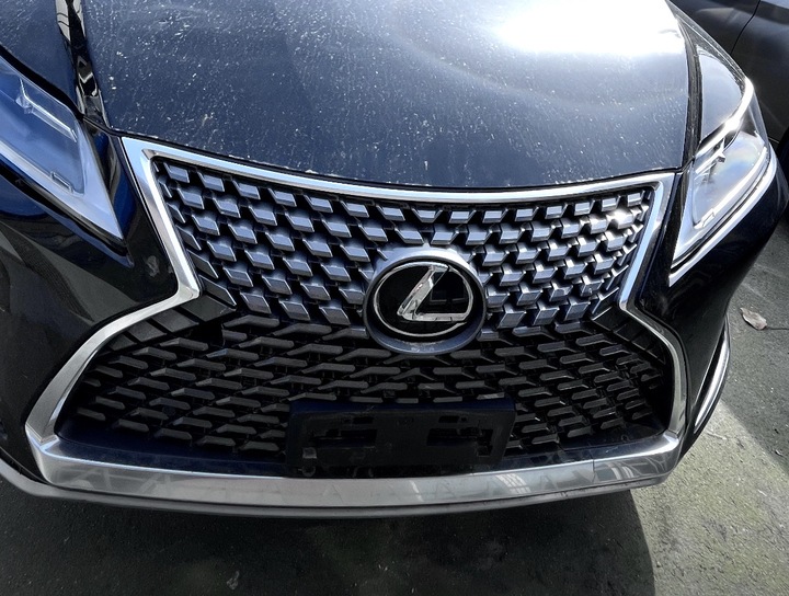 LEXUS RX IV 15-22 RADIATOR GRILLE WITHOUT EMBLEM 