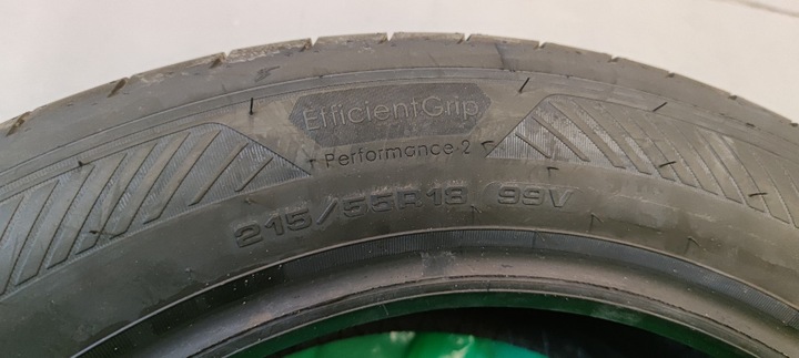 4xGY EfficientGrip Performance 2 215/55R18 99 V XL