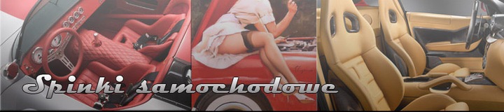 фото №1, Кліпса кліпса оббивка чорна mazda ford romix op