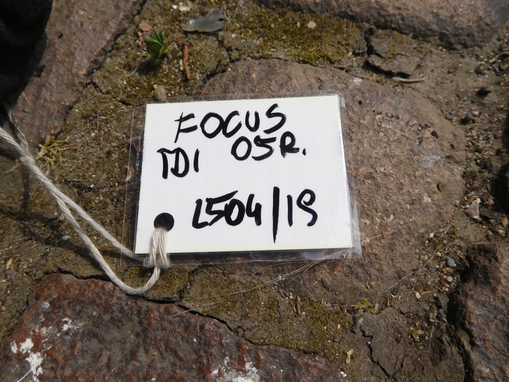 фото №8, Focus mk1 1.8 tci a0003435 рулевая рейка трансмиссия