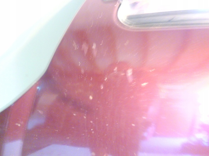 фото №6, Капот перед opel vectra c signum z594