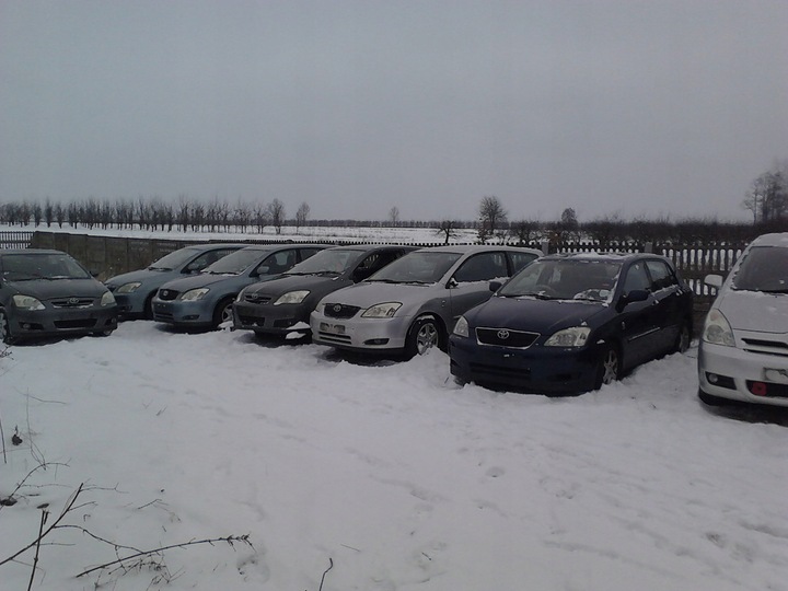фото №12, Toyota corolla e12 решётка радиатора рестайлинг решётка бампера