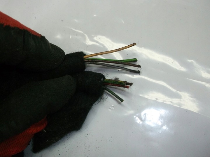 фото №4, Peugeot 5008 штекер разъём лампы зад