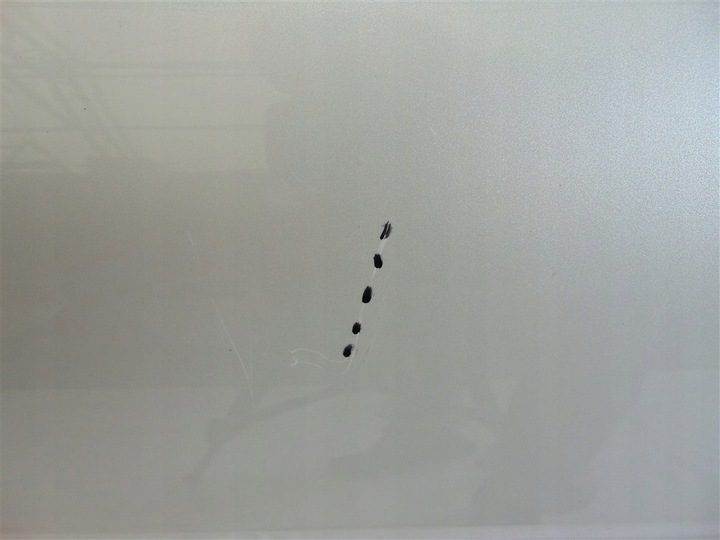 фото №5, Двері праві перед citroen c4 cactus 2014-2017