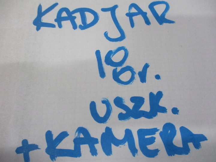 фото №6, Крышка задняя renault kadjar 18r pod камера