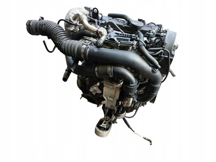 фото №11, Двигатель комплектный 1.9 dci f9qp872 renault scenic iii