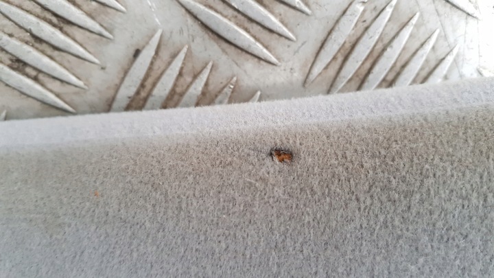 фото №8, Mercedes w220 защита корпус стойка перед левая правая a2206900625