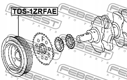 фото №5, Febest tds-1zrfae колесо пасове, wał колінчастий