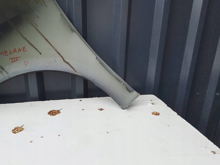 фото №13, Renault megane iii крило праві перед bose