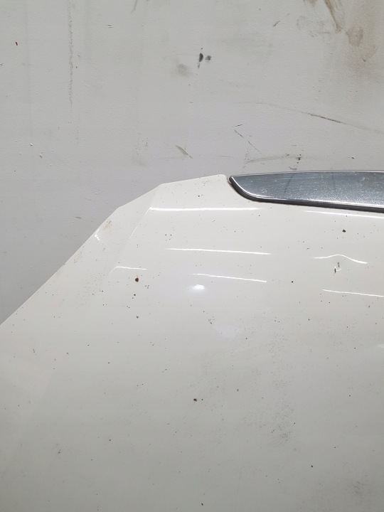 фото №6, Капот skoda praktik 2009