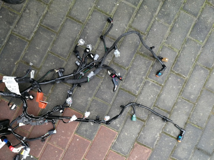 фото №4, Джгут двигуна 1.0 tce renault clio v