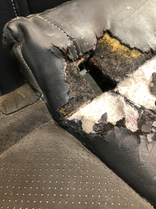 фото №14, A6 c7 s line сиденья ковши кожа+ алькантара подогрев комплект