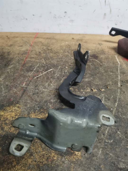 фото №8, Петля капота правые laguna iii 654000001r ted69 teb66