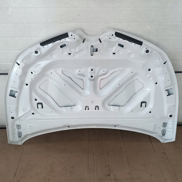 фото №12, Капот renault clio v 19- 651224027r