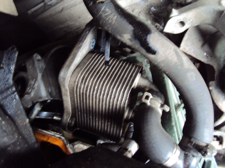 фото №1, Радиаторов масла astra iii h z17dth 1.7dth