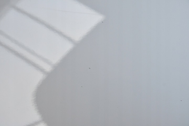 фото №9, Дверь правые перед передние bmw 7 g11 g12 a300 альпийский белый