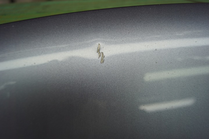 фото №6, Капот крышка двигателя audi a8 d3