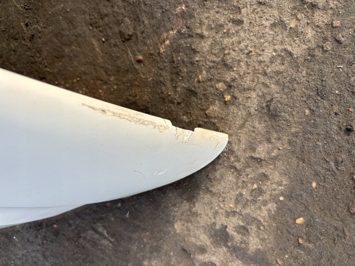 фото №8, Капот решітка перед scania r