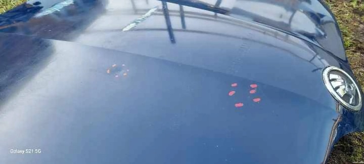 фото №7, Skoda rapid nh капот кришка двигуна