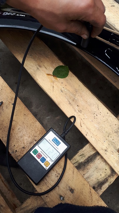 фото №12, A4 b8 s4 крило лівий перед переднє ly9b