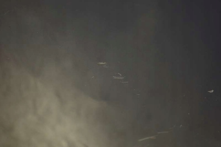 фото №7, Капот кришка двигуна szaroniebieska kia sorento 1 i рестайлінг 07-09