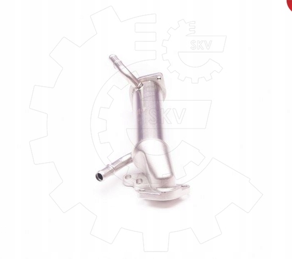 фото №3, 2 d 07.06-05.11 1618r4