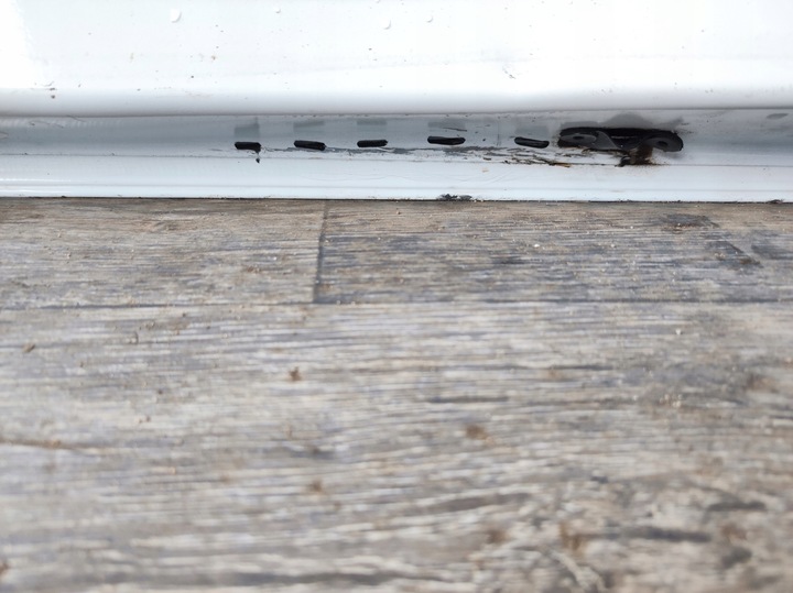 фото №16, Двері renault kangoo iv 21- задні ліві