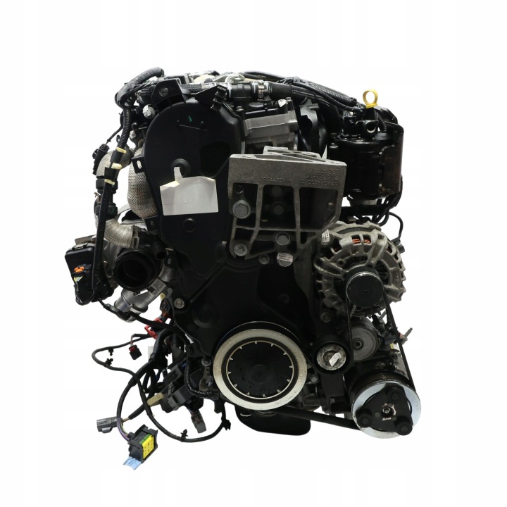 фото №10, Land range rover evoque l538 двигатель голый стойка 224dt dw12te5 190km