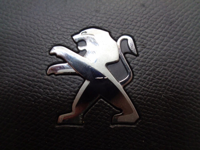 фото №7, Peugeot 508 ii подушка водія air bag