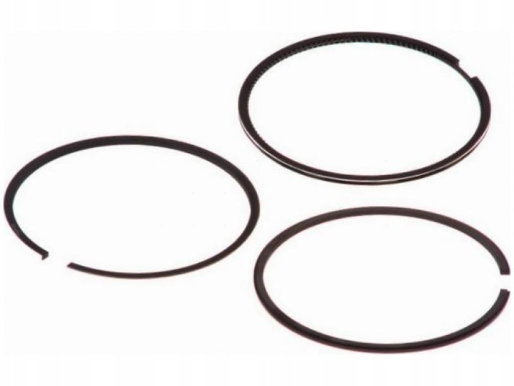 фото №1, Кільця поршневі peugeot partner 1.9